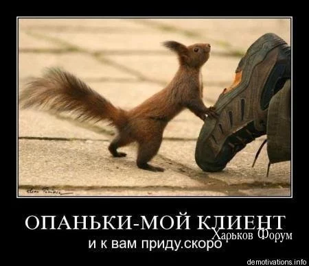 3bc8dad813a271607dc7.webp