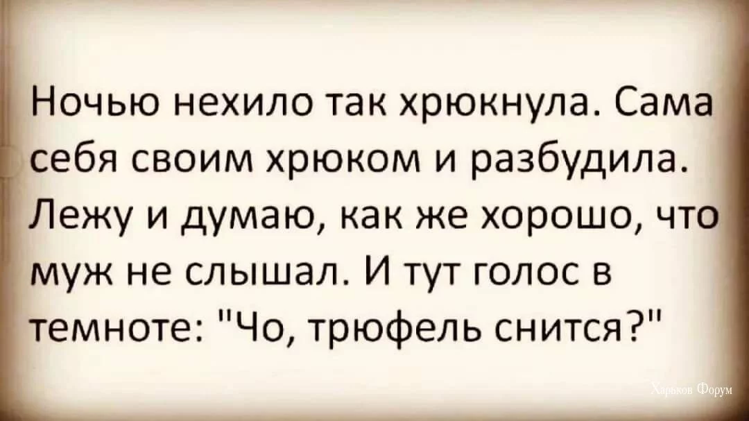 3bca2b3a127e15d7f16d32.webp