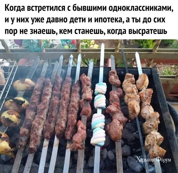 3bd6e383cf62157e9e.webp