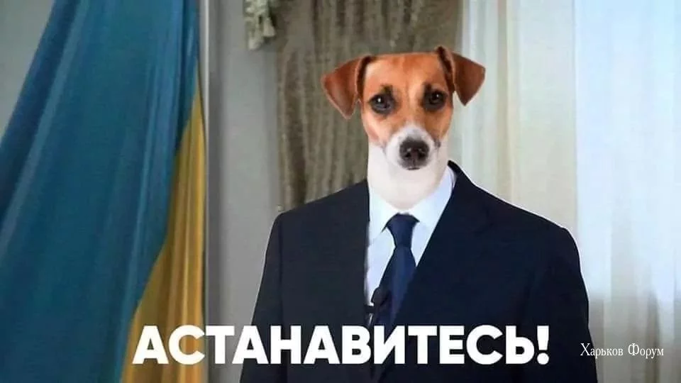 3bd7d9347edc13a05810.webp