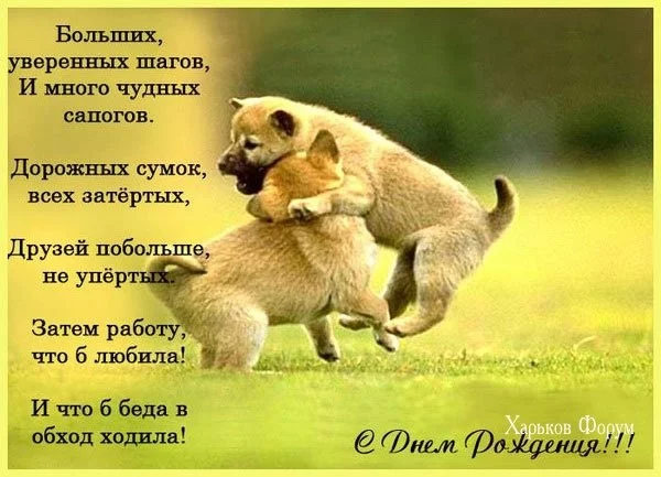 3be3a75580a14bc384d.webp