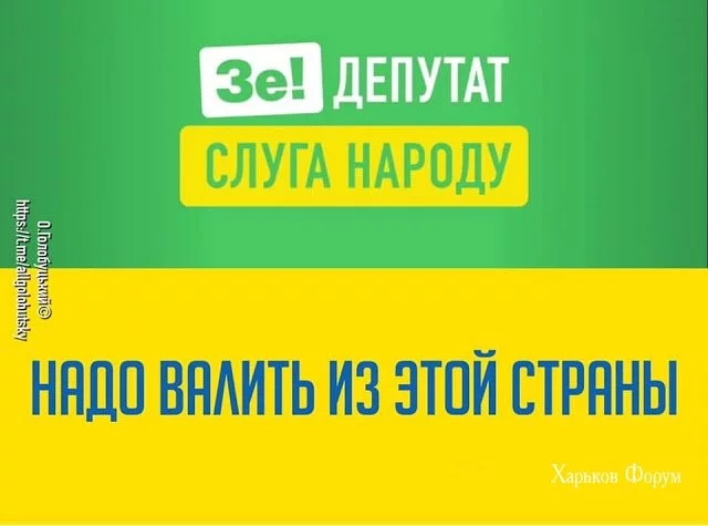3be77c3c73a894d031ed544.webp