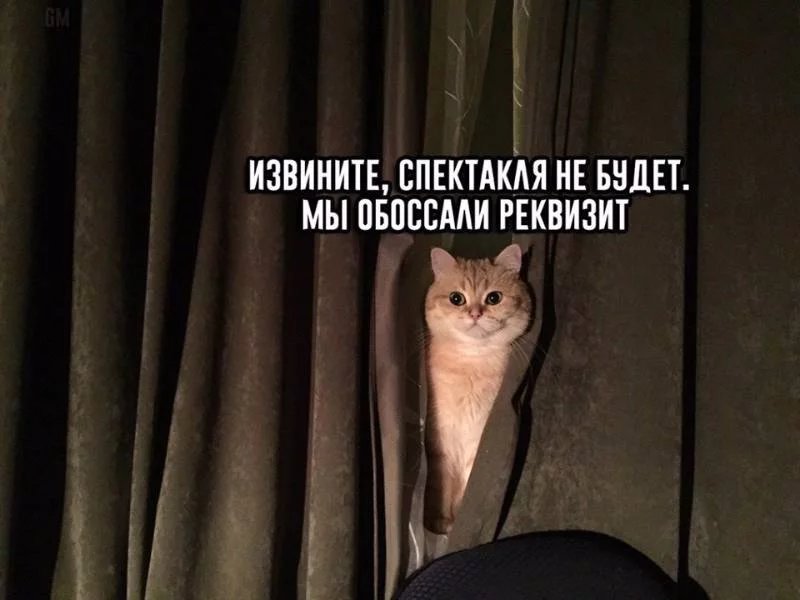3beccg.webp