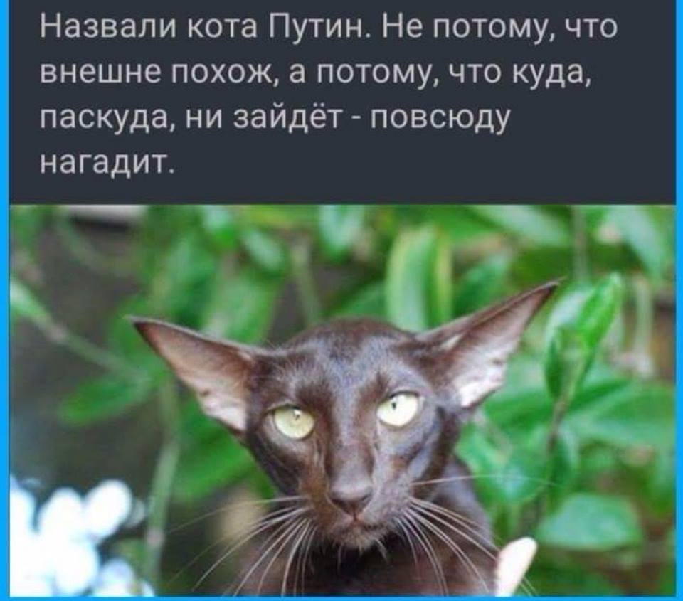 3begaj.jpg