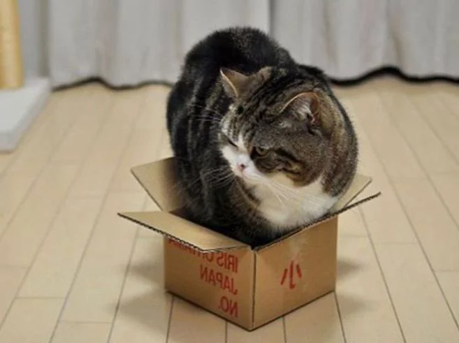 3bhjhd.webp