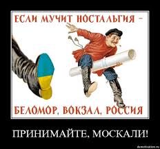 3C-FVk0_yGLzqnQgcUAc_-HEQNpdL51S6WfzVn8DNkZUakx4Pg.jpg