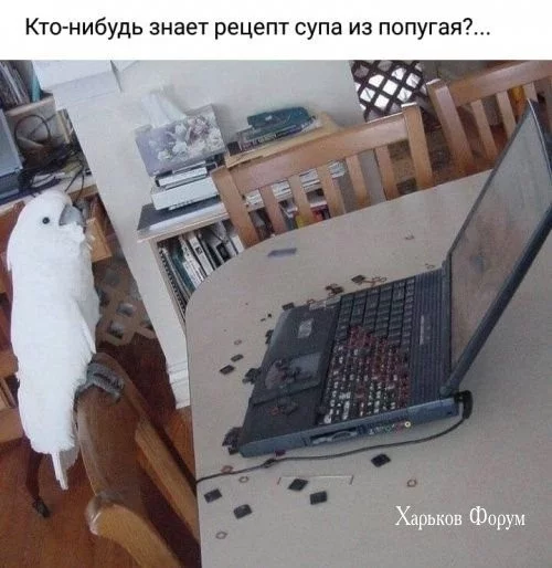 3c09c2dd74476fd8abe28cf5.webp