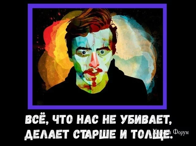 3c1f256fe323bdbe4a8a6.webp