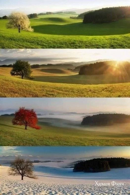 3c1f79a6d080e27924e88e.webp