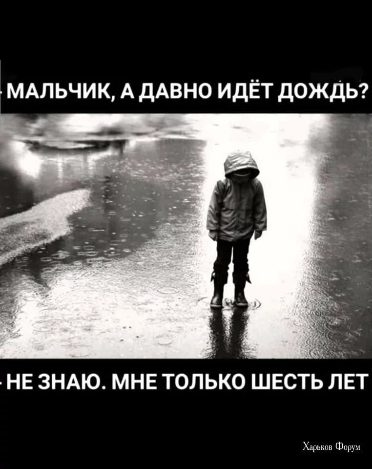 3c48ccf1c01362ff278b9.webp