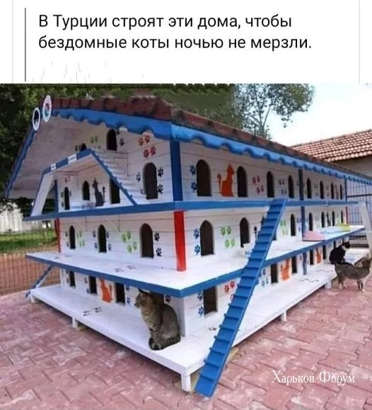 3c4b023421e378c00f00.webp