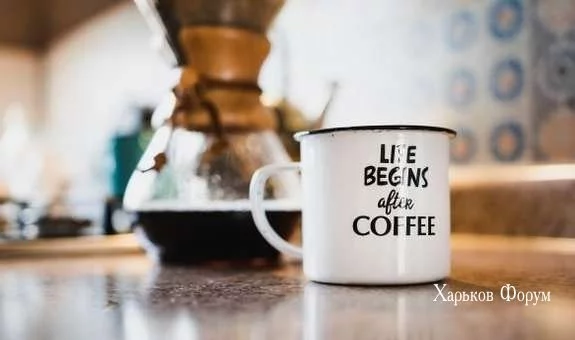 3c5ef935cfb06a42142.webp