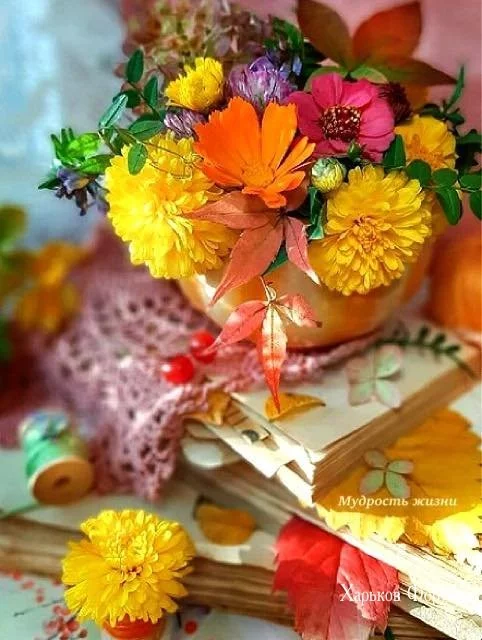 3c687f2497900ef66630.webp