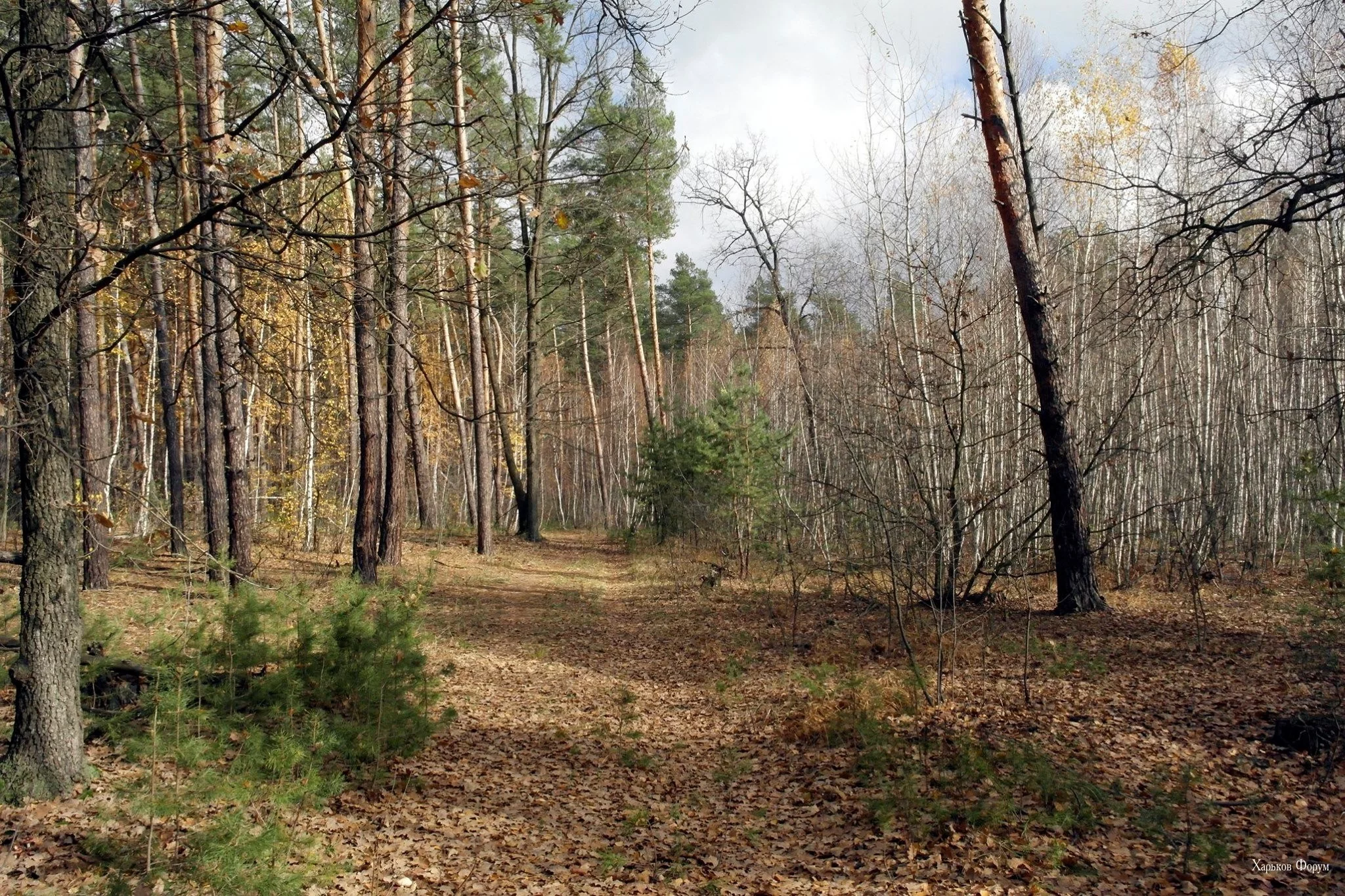 3c86e7ca23d1960406c.webp