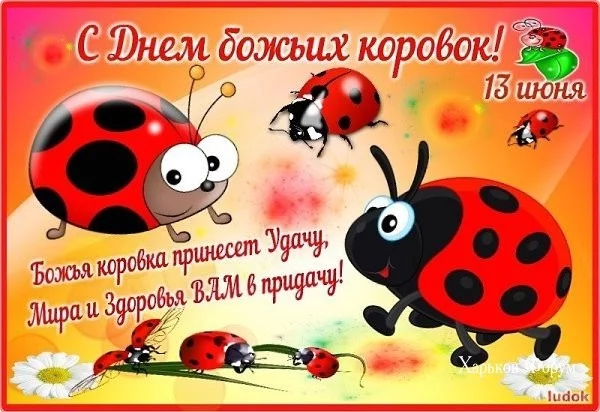 3c92c7dc8842e56ed4.webp