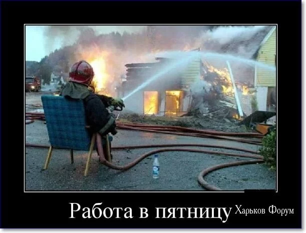3c92ef4e66be3691bd892f.webp