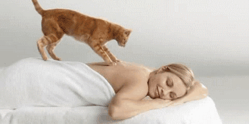 3c94dff9a40a6c4b14cb4765960f1f95.gif