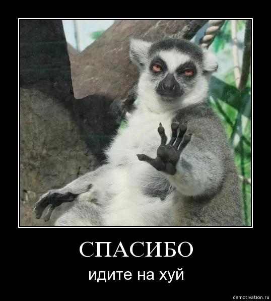 3caejh.webp