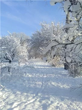 3cbbje.webp