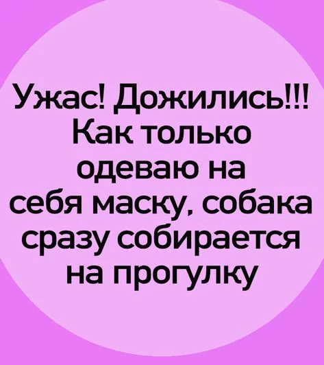 3cc7cba5f0f7c642f342d398384d2ea1.webp