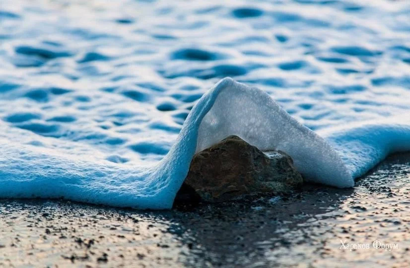 3cce8f459e2519e33.webp