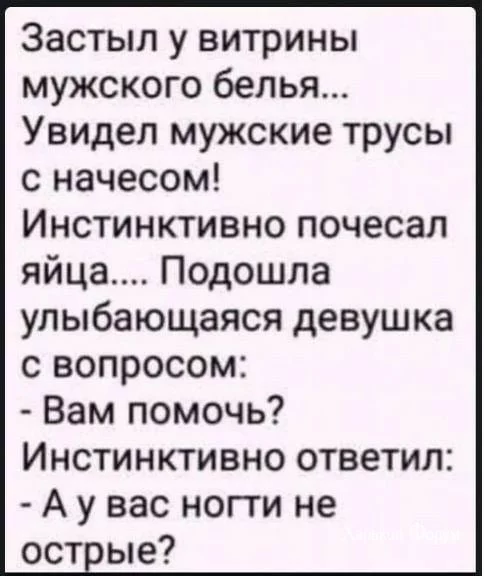 3ce350ee75f8768838d12.webp
