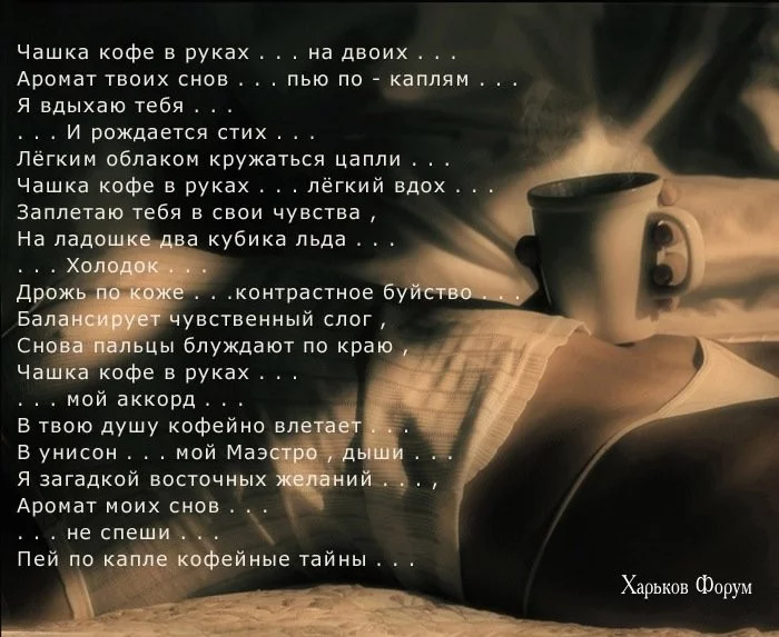 3cef0f325185ea78.webp