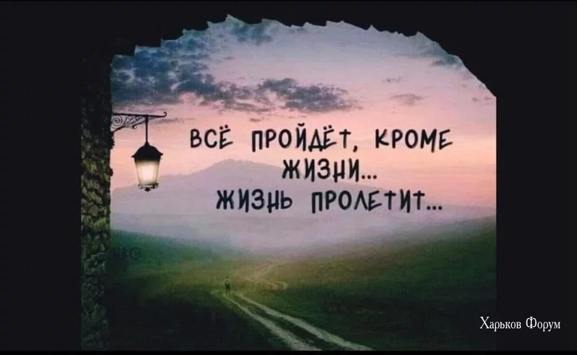 3cf220998df83f0d57995.webp