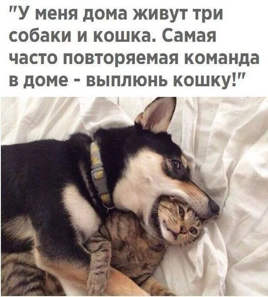 3chjdf.webp