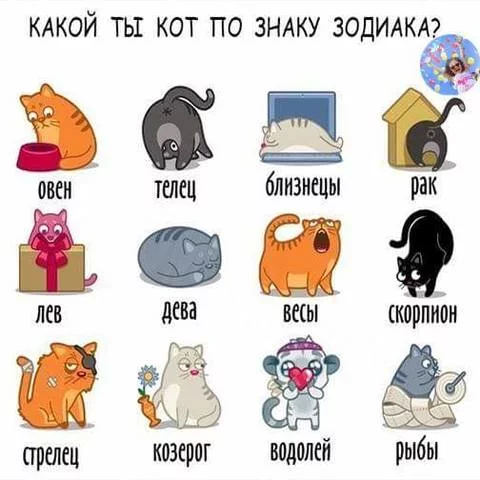 3cjcce.webp