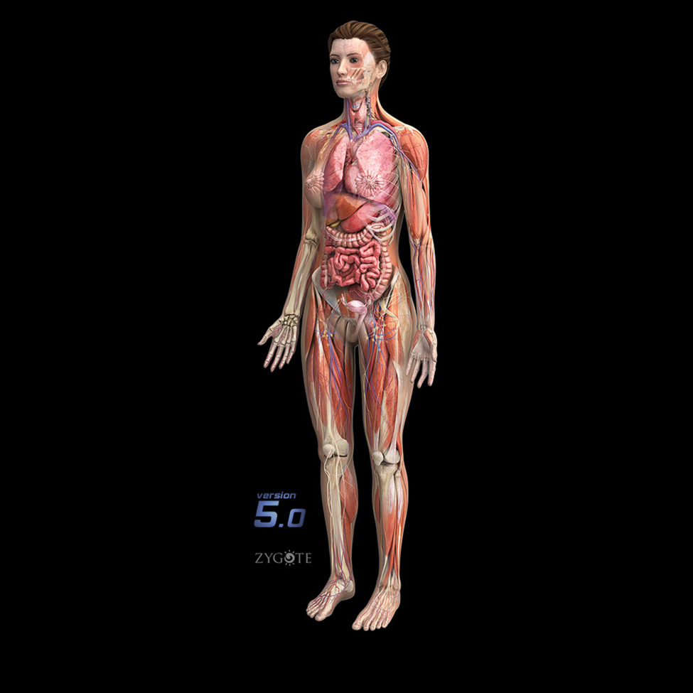 3d-female-anatomy-collection.jpg