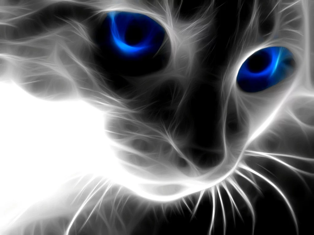 3d-gray-cat-1024.webp
