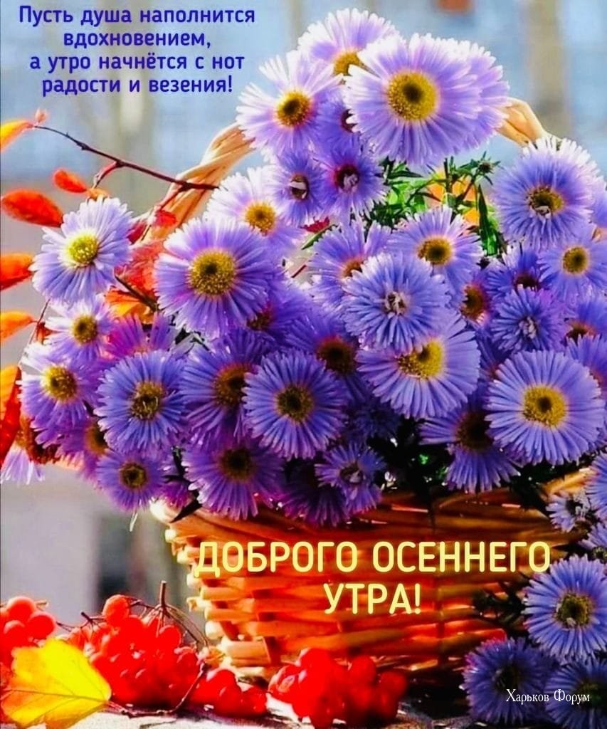 3d1a070f6f3a8574900bcee.jpg