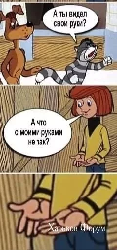 3d20a5213e0fc6a5923f978e.webp