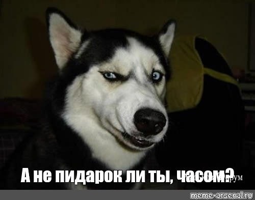 3d25203ee92bc1495e6c92.jpg