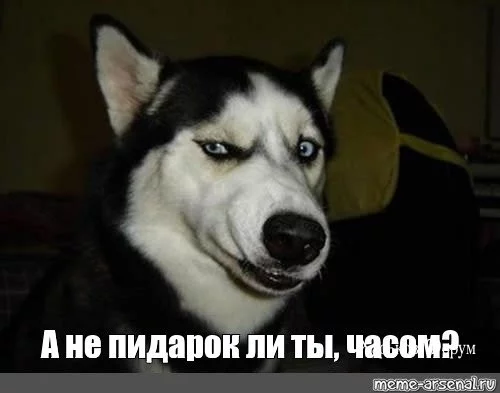 3d25203ee92bc1495e6c92.webp