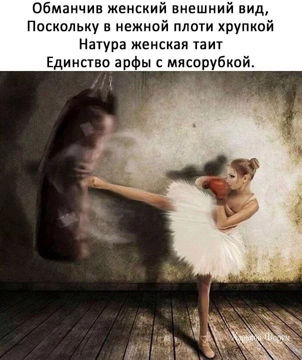 3d3a582e23c9406ac17.webp