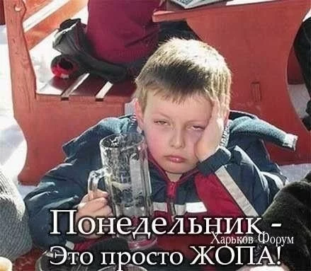 3d4dcfc68d01363bd473.webp