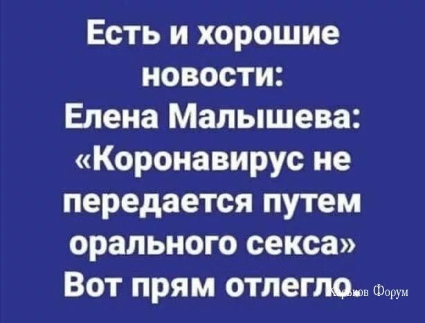 3d6603dfeb72217139588c88.webp