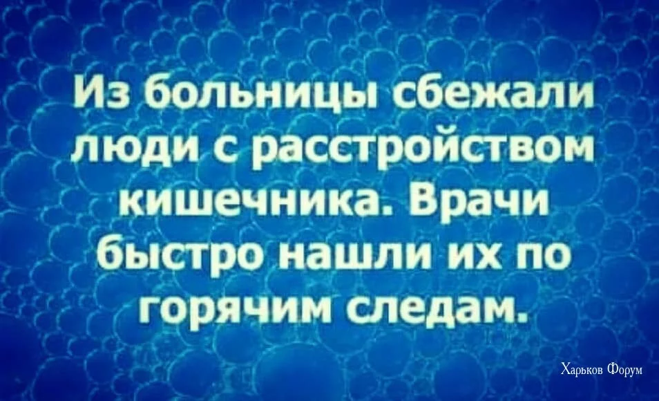 3d81c2c4f4cfc500dc82.webp