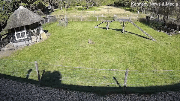 3d8a5bfa3725380d3.gif