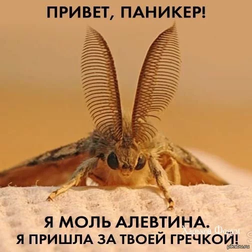 3da52c3e3410ba095660.webp