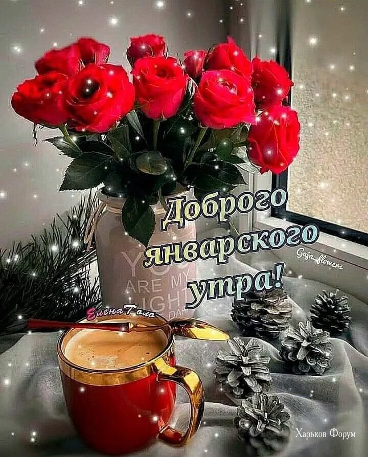 3dad7fa079d08a56e55e.webp