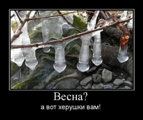 3dadjg.webp