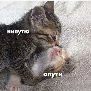 3dahbh.webp
