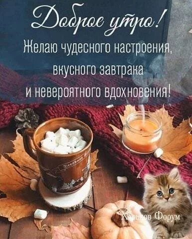 3dbb9b380fd58ef80cec9c7d.webp