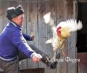 3dd0db75a97be969862.webp
