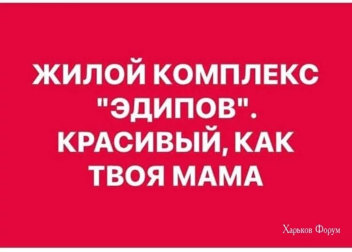 3dd1f0b1a228cb972a42dca.webp