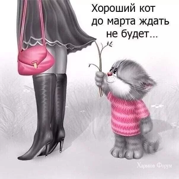 3ddcb7b7c29bda1b.webp