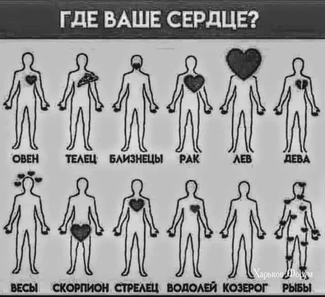 3de8ae7ebb2a0fe7.webp